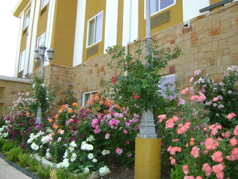 Blanco River Hotel Eksteriør billede